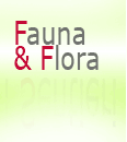 Fauna e Flora